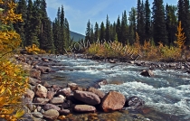 CANADA;ALBERTA;ICEFIELD_PARKWAY;CANADIAN_ROCKIES;ROCKY_MOUNTAINS;WATER;FALL;STRE